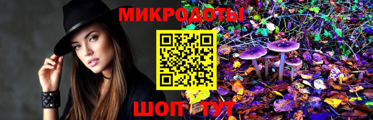 Псилоцибиновые грибы мицелий  Вход с VPN  Мирный  Псилоцибиновые грибы Psilocybine cubensis 