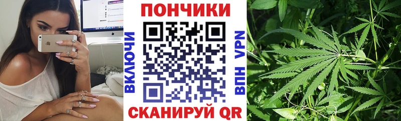 где можно купить наркотик  Мирный  Марихуана THC 21% 